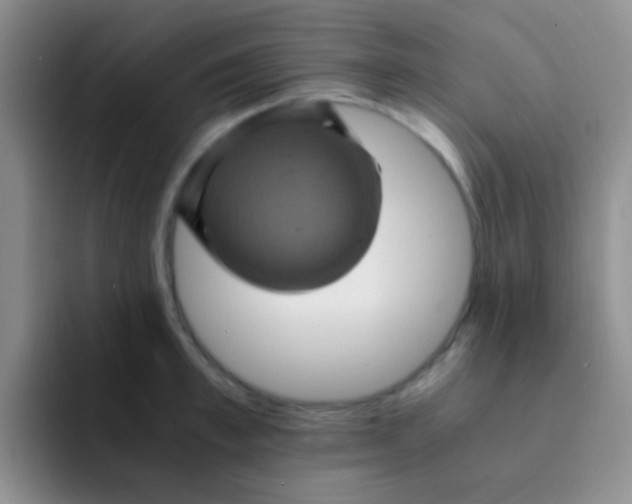 X0000091940997200709261929