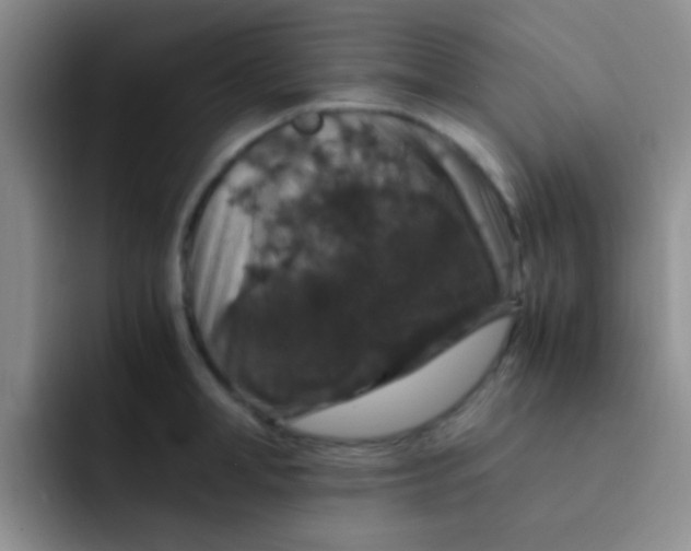 X0000091940998200709261929