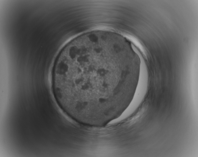 X0000091940999200709261929