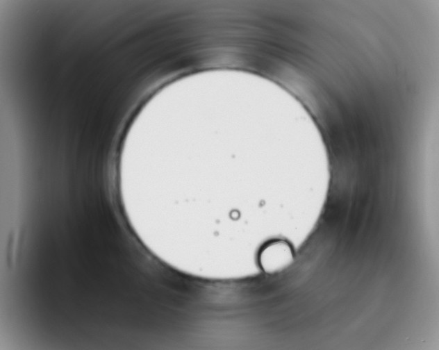 X0000091941000200709261929