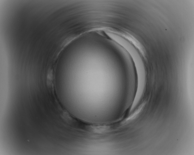 X0000091941001200709261929