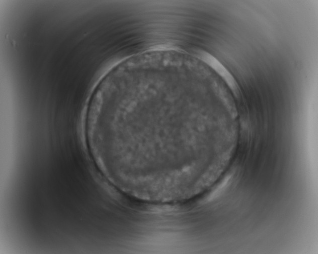 X0000091941002200709261929