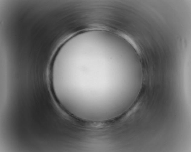 X0000091941003200709261929