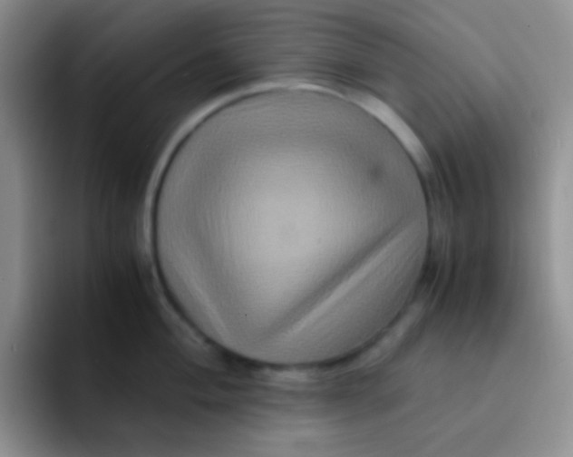 X0000091941004200709261929