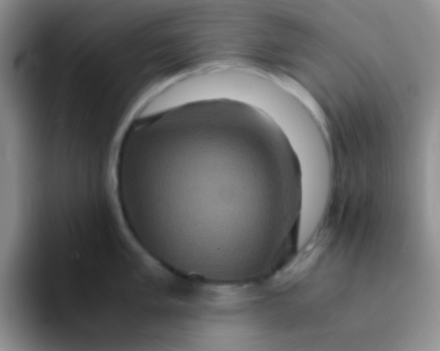 X0000091941005200709261929