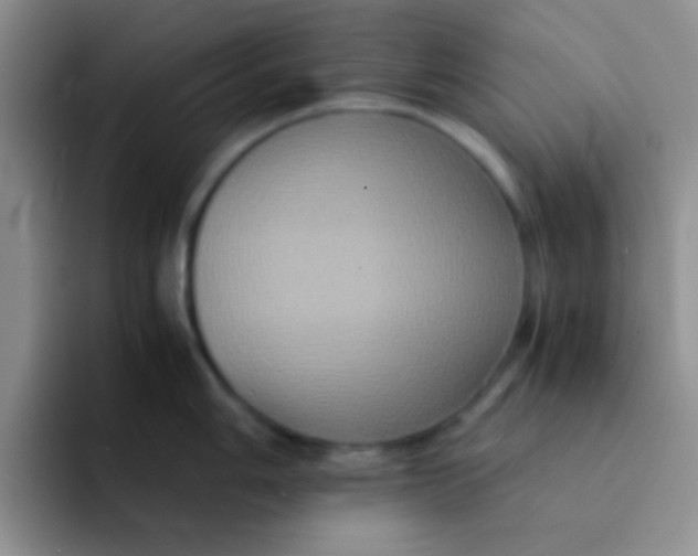 X0000091941006200709261929