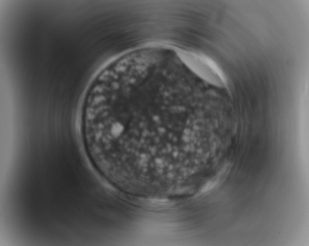 X0000091941007200709261929