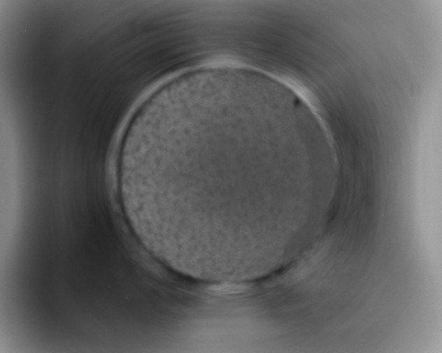 X0000091941008200709261929