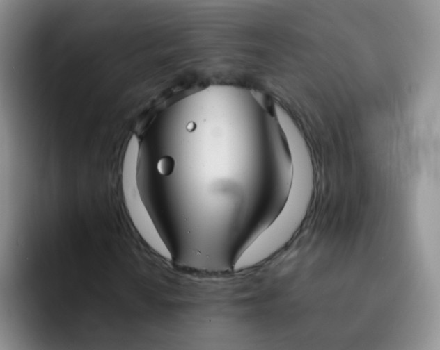 X0000091941010200709261928