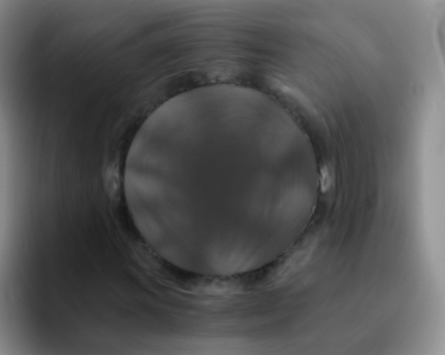 X0000091941011200709261928