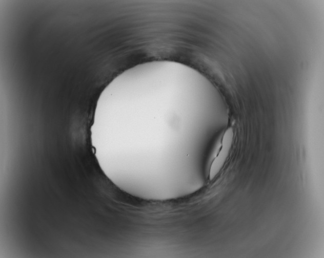 X0000091941012200709261928