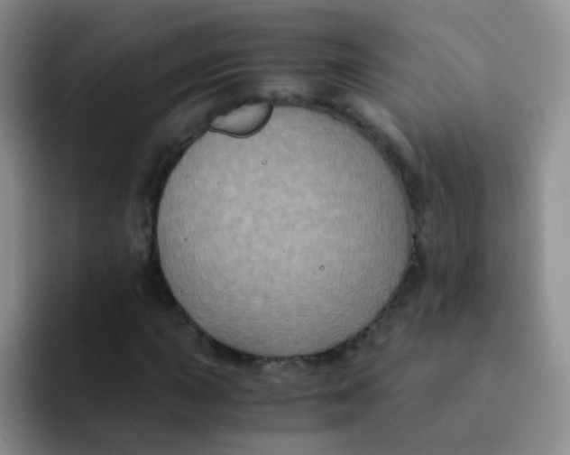 X0000091941015200709261928