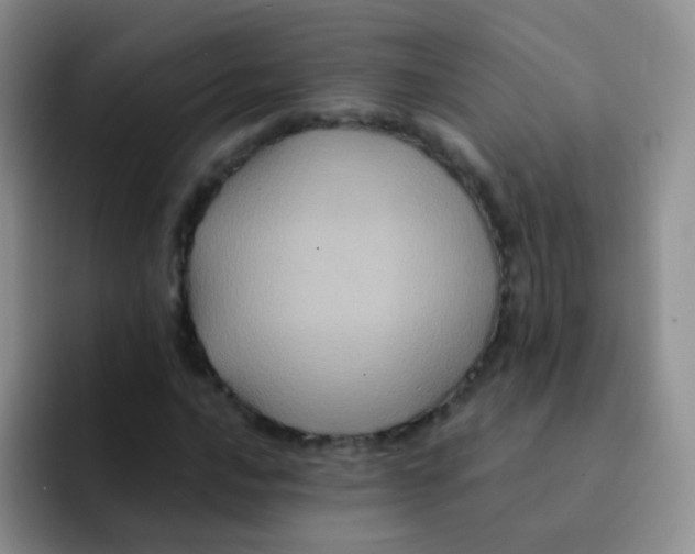 X0000091941016200709261928