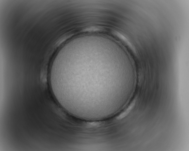 X0000091941017200709261928