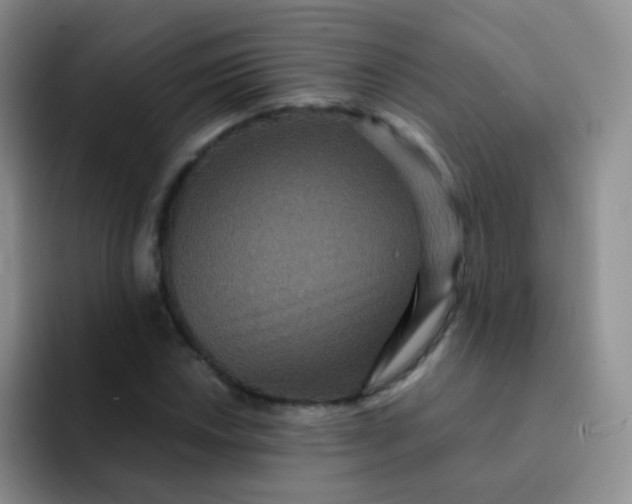 X0000091941018200709261928