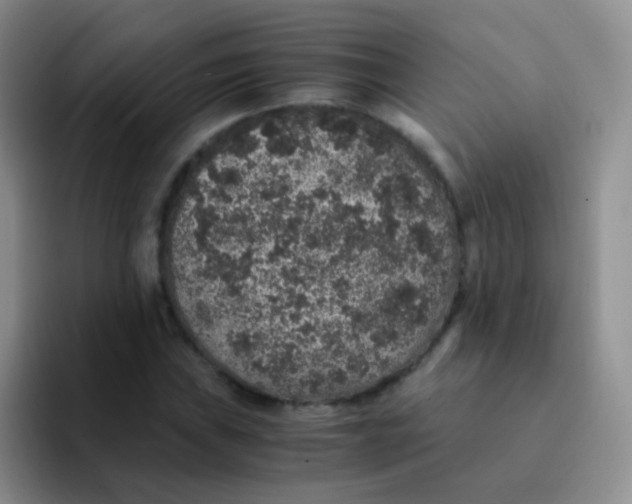 X0000091941019200709261928