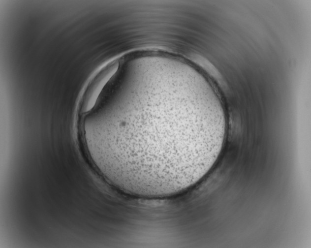 X0000091941020200709261928