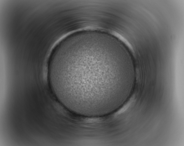 X0000091941021200709261928