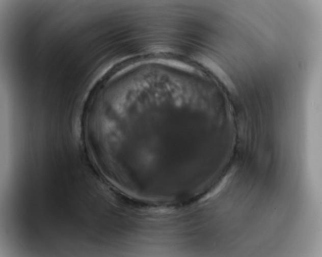 X0000091941023200709261928