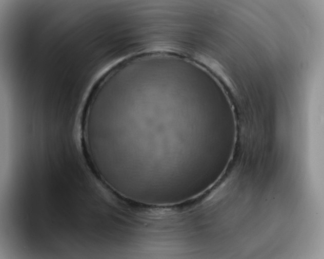 X0000091941024200709261928