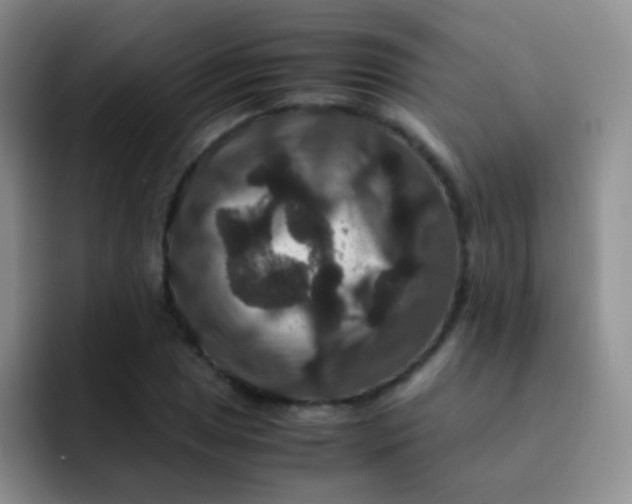 X0000091941025200709261928