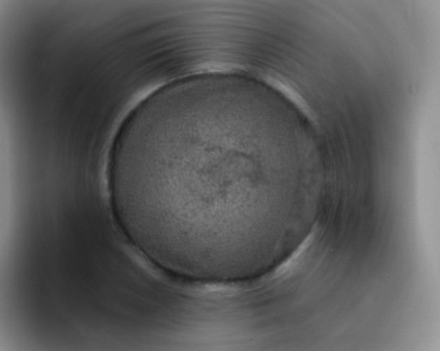 X0000091941026200709261928