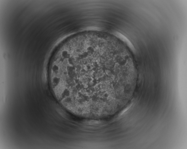 X0000091941027200709261928