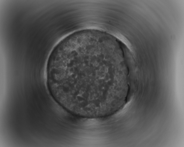 X0000091941028200709261928