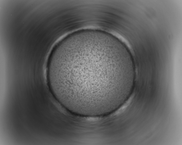 X0000091941029200709261929