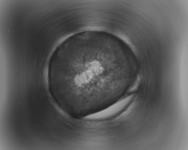 X0000091941030200709261929