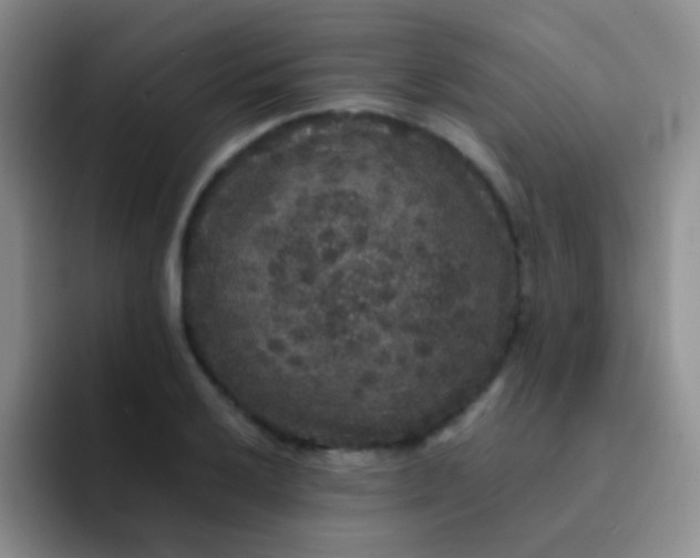 X0000091941032200709261929