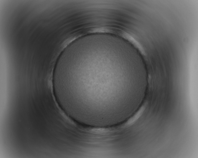 X0000091941033200709261929