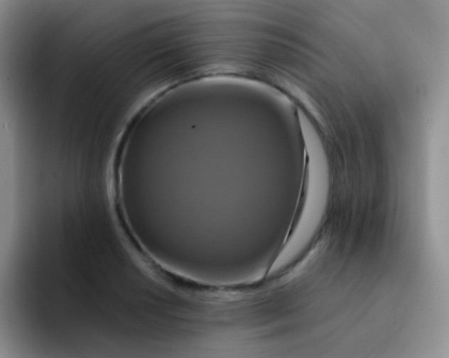 X0000091941034200709261929