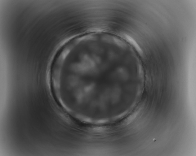 X0000091941035200709261929