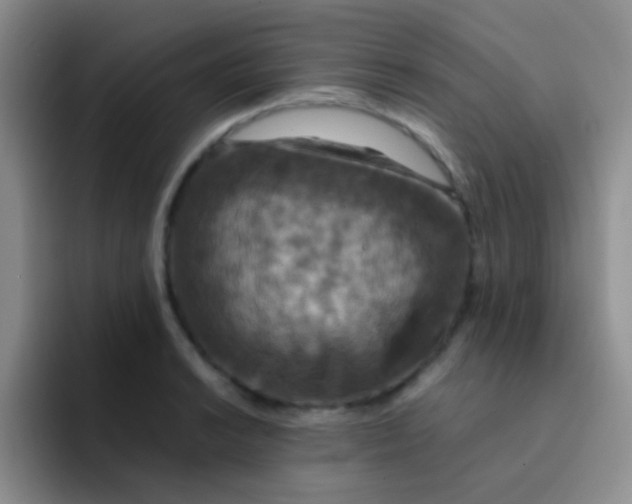 X0000091941038200709261929