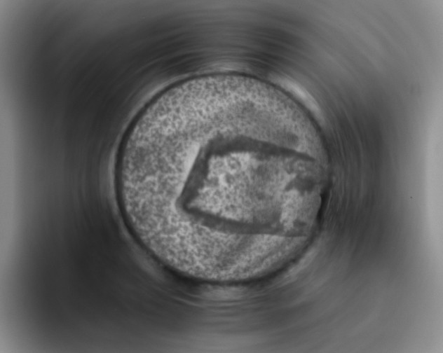 X0000091941039200709261929