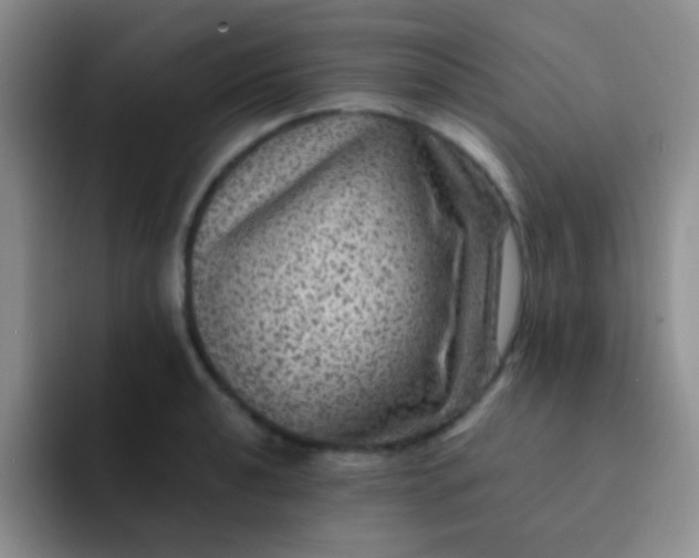 X0000091941040200709261929