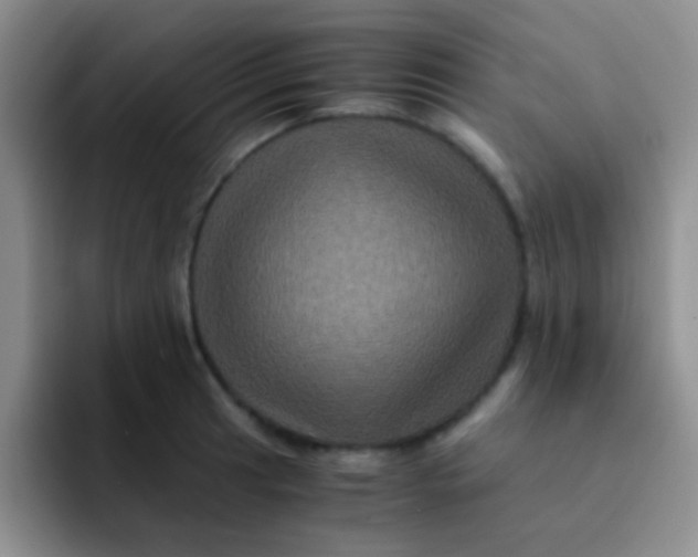 X0000091941041200709261929