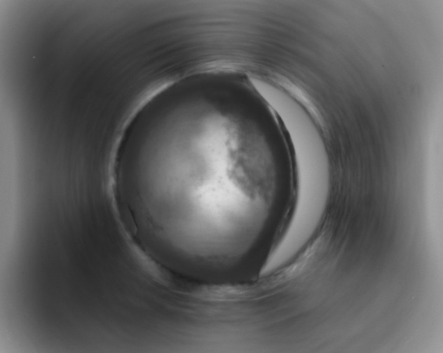 X0000091941042200709261929