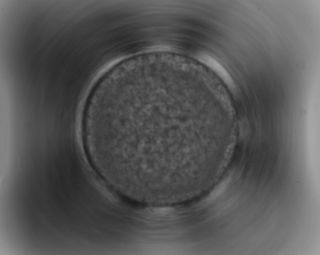 X0000091941043200709261929