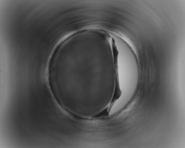 X0000091941045200709261929