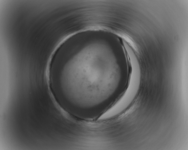 X0000091941046200709261929