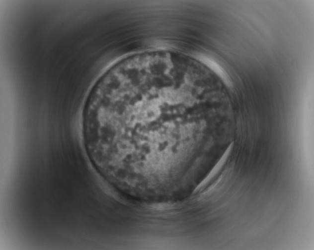 X0000091941047200709261929