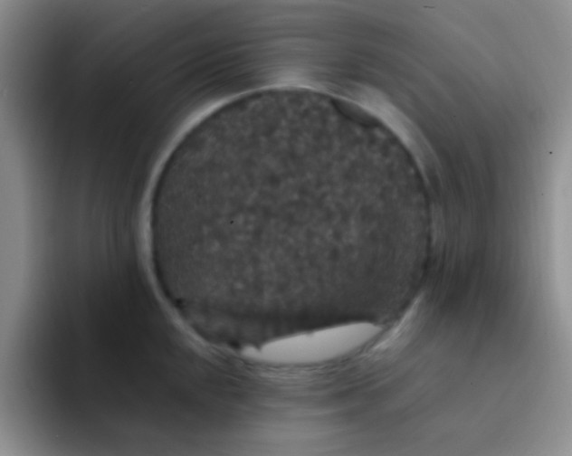 X0000091941048200709261929