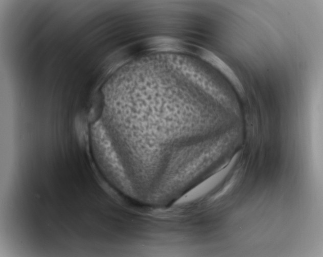 X0000091941049200709261929