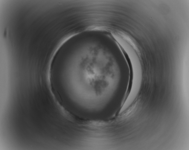 X0000091941050200709261929