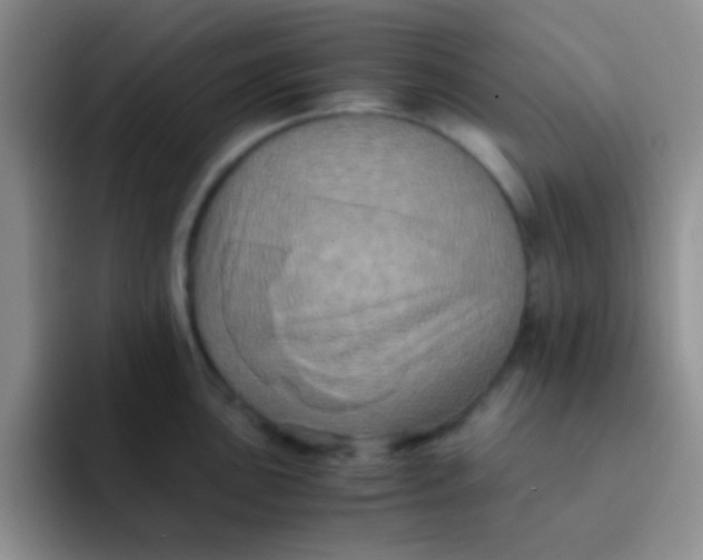 X0000091941051200709261929