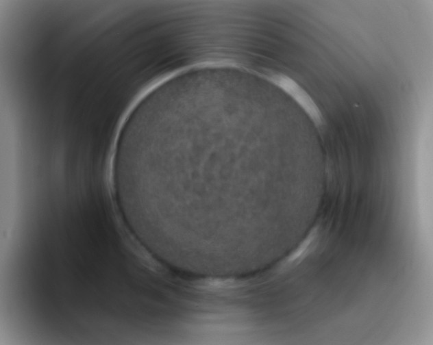 X0000091941052200709261929