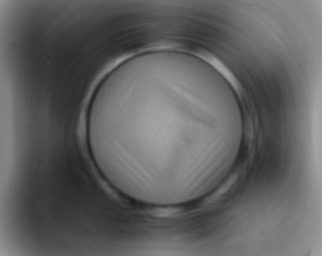 X0000091941053200709261929