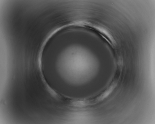 X0000091941054200709261929